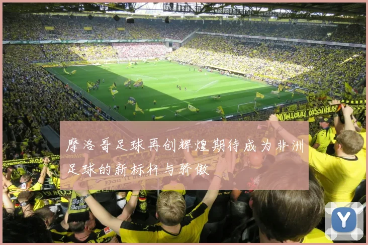 摩洛哥足球再创辉煌期待成为非洲足球的新标杆与骄傲