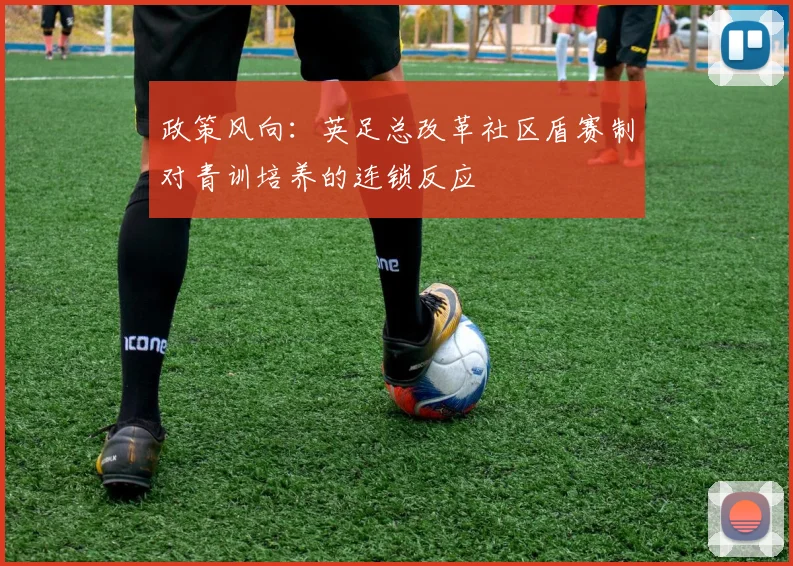 政策风向：英足总改革社区盾赛制对青训培养的连锁反应