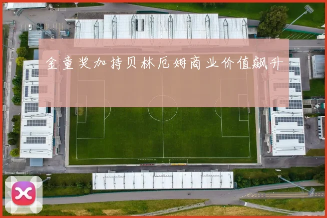 金童奖加持贝林厄姆商业价值飙升