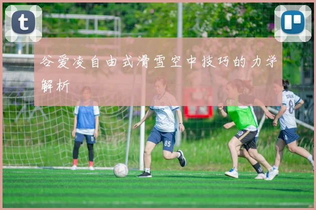 谷爱凌自由式滑雪空中技巧的力学解析