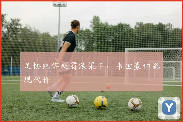 足协纪律处罚政策下，韦世豪的犯规代价