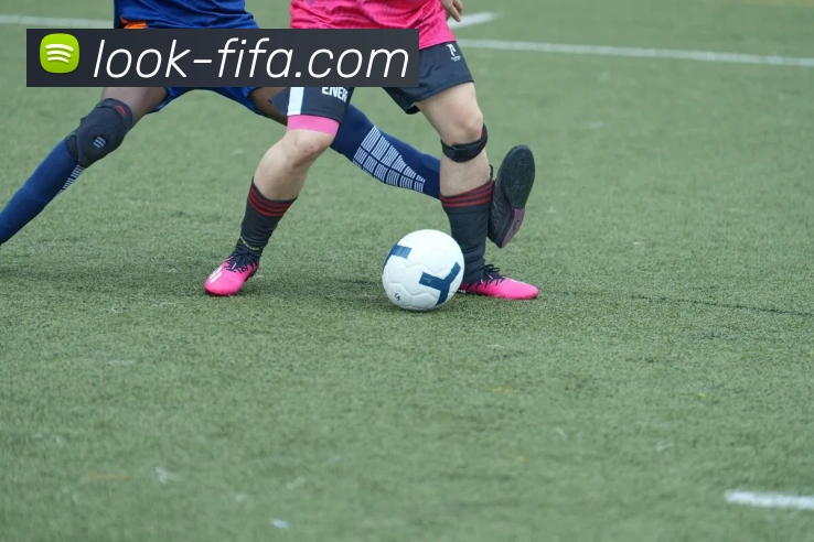 世界杯FIFA平台生态图