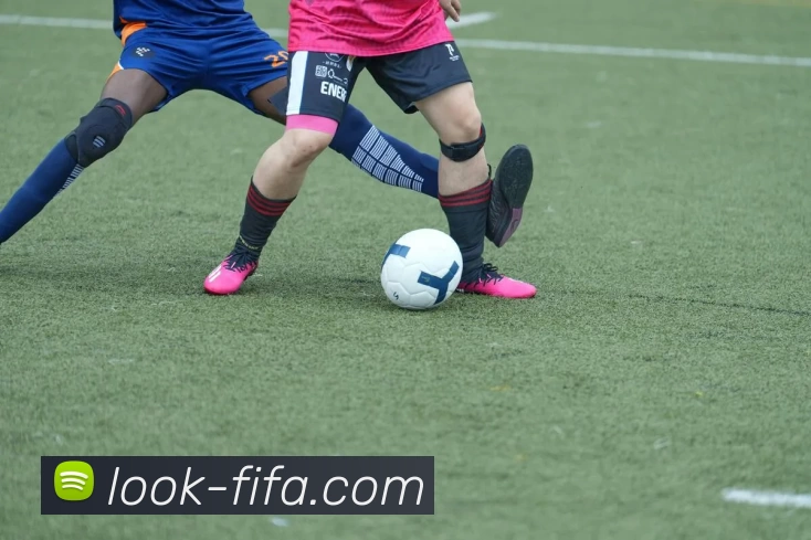 世界杯FIFA平台生态图