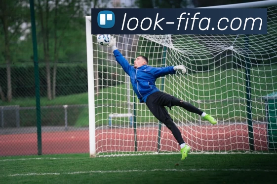 世界杯FIFAAPP 封面图